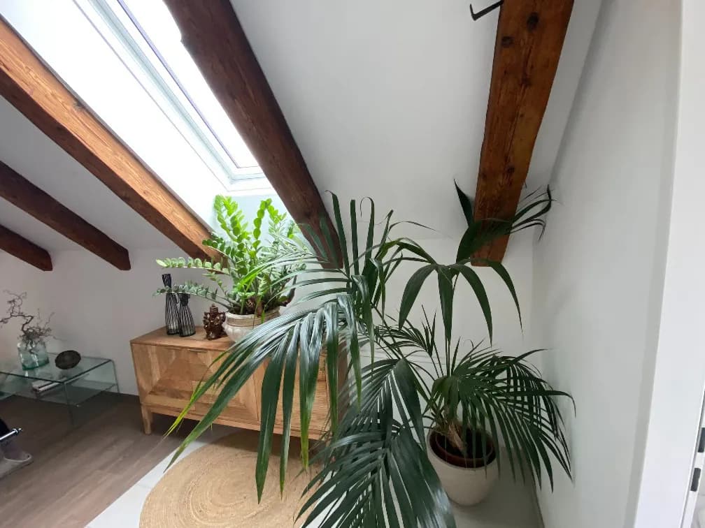 4-Zimmer-Wohnung mieten in Steyr-Land – 100 m², € 1.297 – Bild 19 von 20