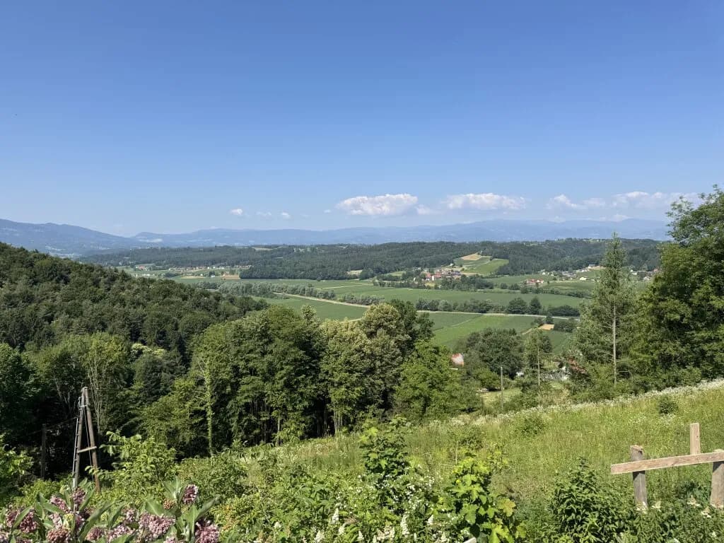 4-Zimmer-Immobilie kaufen in Leibnitz – 209,06 m², € 1.490.000 – Bild 4 von 39