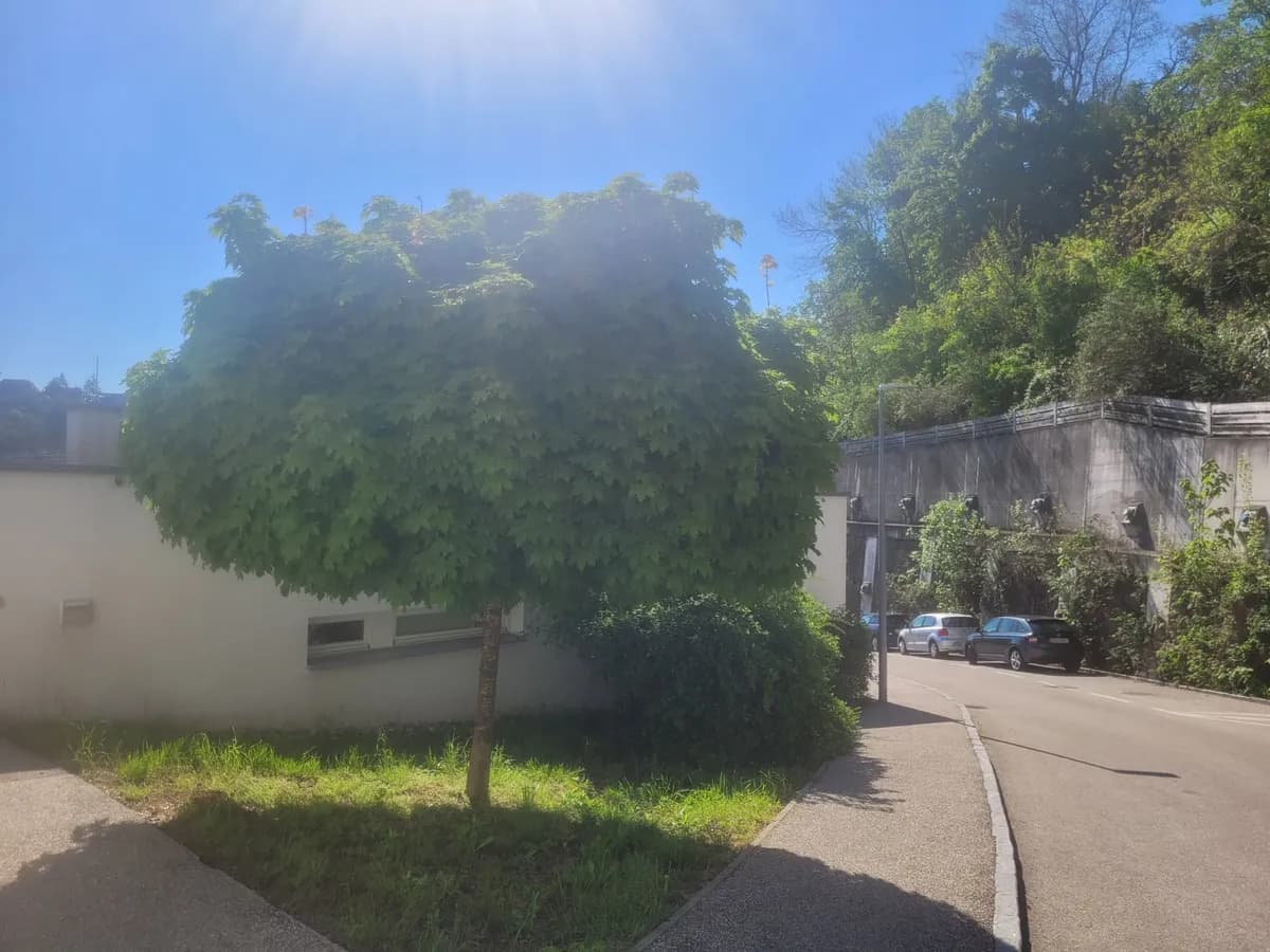 2-Zimmer-Wohnung mieten in Krems an der Donau – 61,15 m², € 737 – Bild 6 von 14