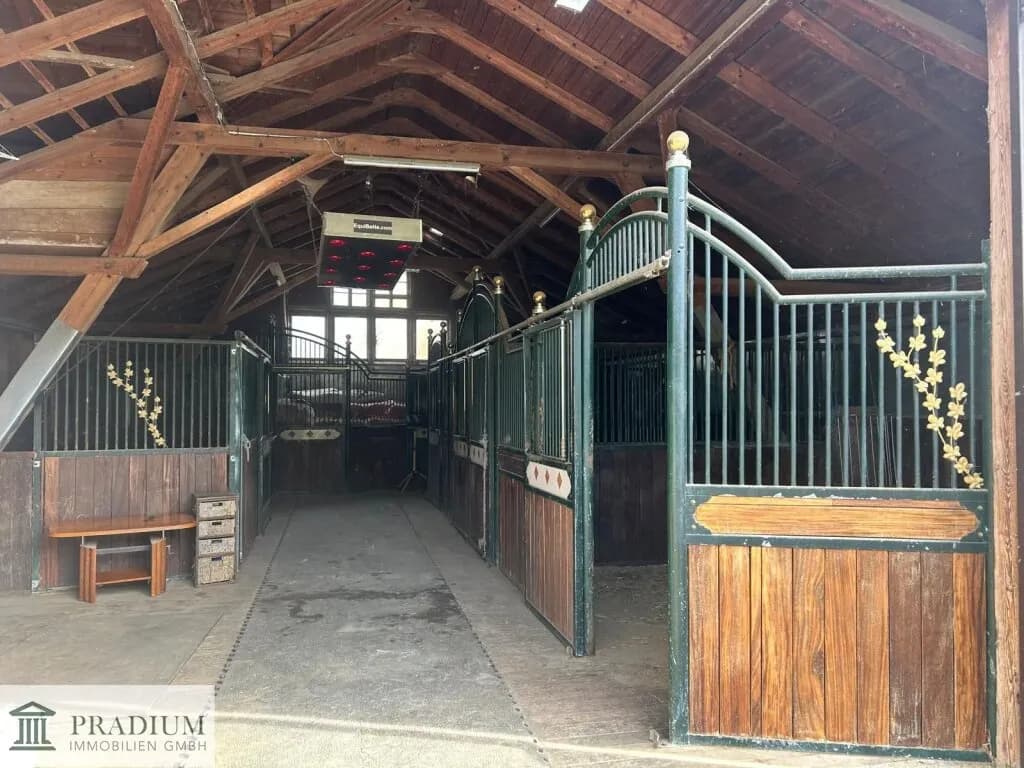 Immobilie kaufen in Wiener Neustadt Land – 225 m², € 659.000 – Bild 1 von 39