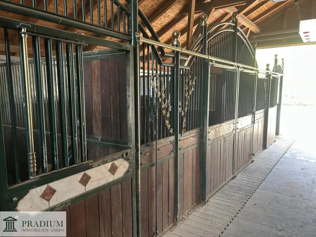 Immobilie kaufen in Wiener Neustadt Land – 225 m², € 659.000 – Bild 4 von 39