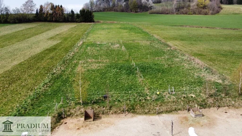 Immobilie kaufen in Wiener Neustadt Land – 225 m², € 659.000 – Bild 16 von 39