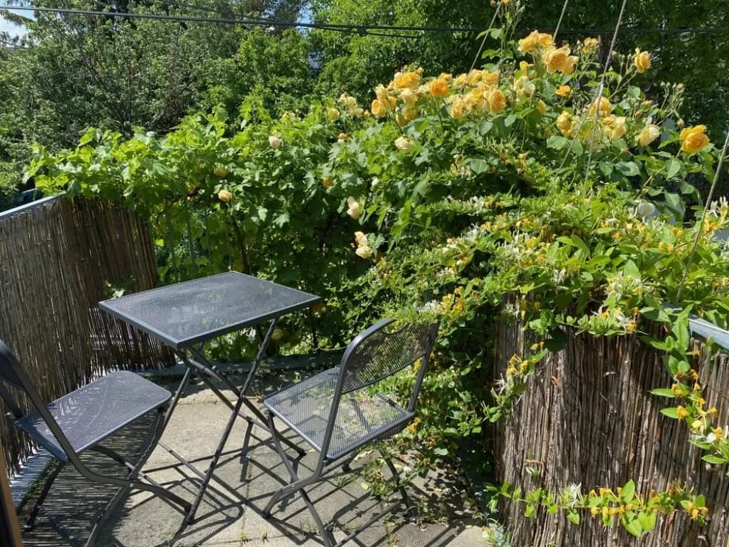 2-Zimmer-Wohnung mieten in Wien – 50 m², € 1.210 – Bild 5 von 15