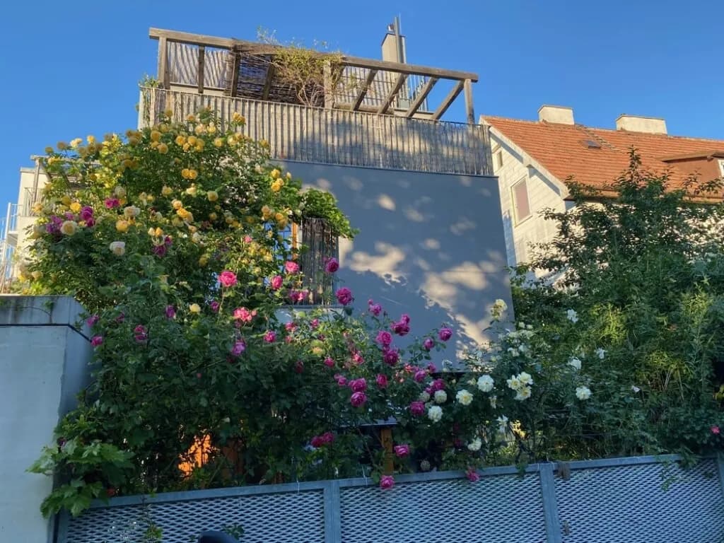 2-Zimmer-Wohnung mieten in Wien – 50 m², € 1.210 – Bild 12 von 15