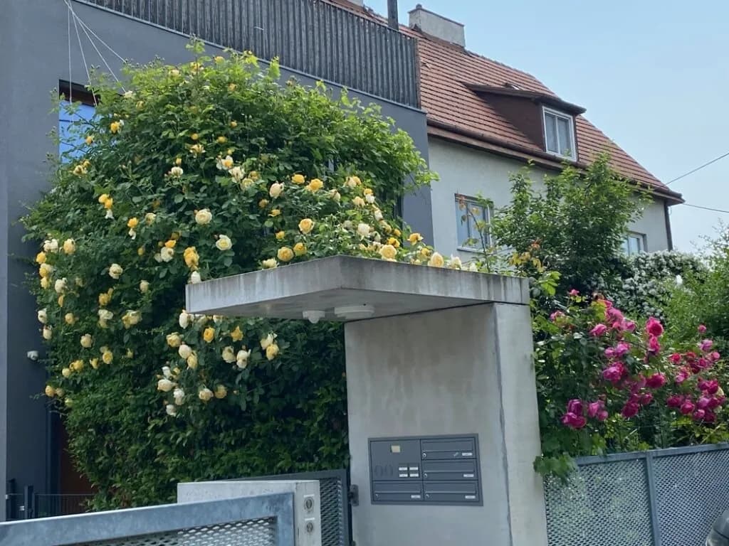 2-Zimmer-Wohnung mieten in Wien – 50 m², € 1.210 – Bild 14 von 15