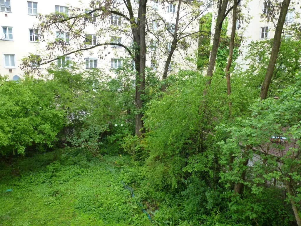 2-Zimmer-Wohnung mieten in Wien – 70 m², € 1.100 – Bild 9 von 13