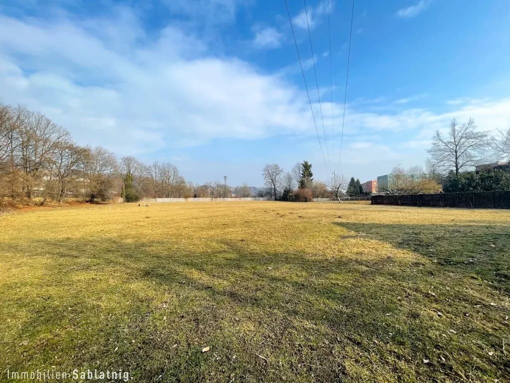 Immobilie kaufen in Südoststeiermark – 6 245 m², € 490.000 – Bild 4 von 4