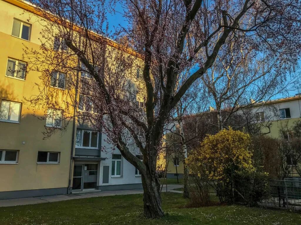 4-Zimmer-Wohnung kaufen in Wien – 95,77 m², € 459.900 – Bild 29 von 31