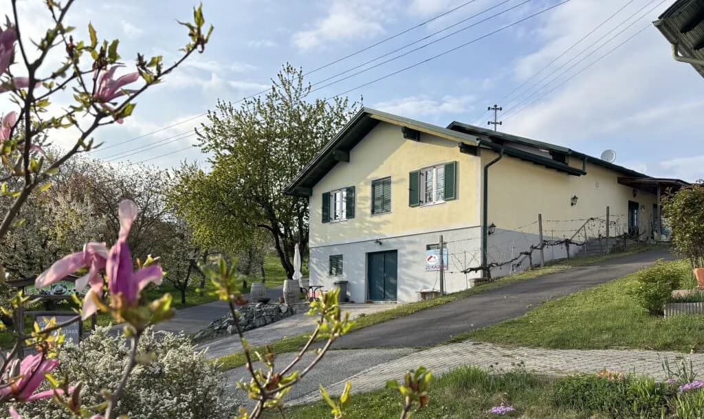 3-Zimmer-Immobilie kaufen in Güssing – 245 m², € 297.000