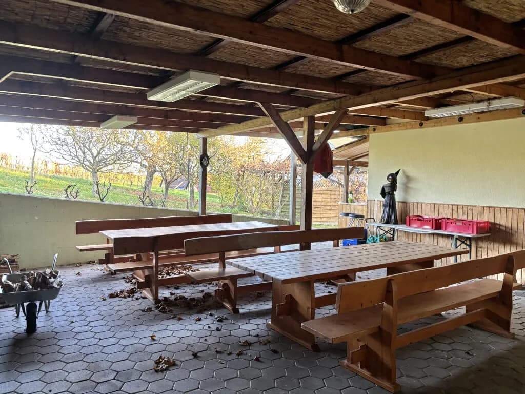 3-Zimmer-Immobilie kaufen in Güssing – 245 m², € 297.000 – Bild 52 von 61