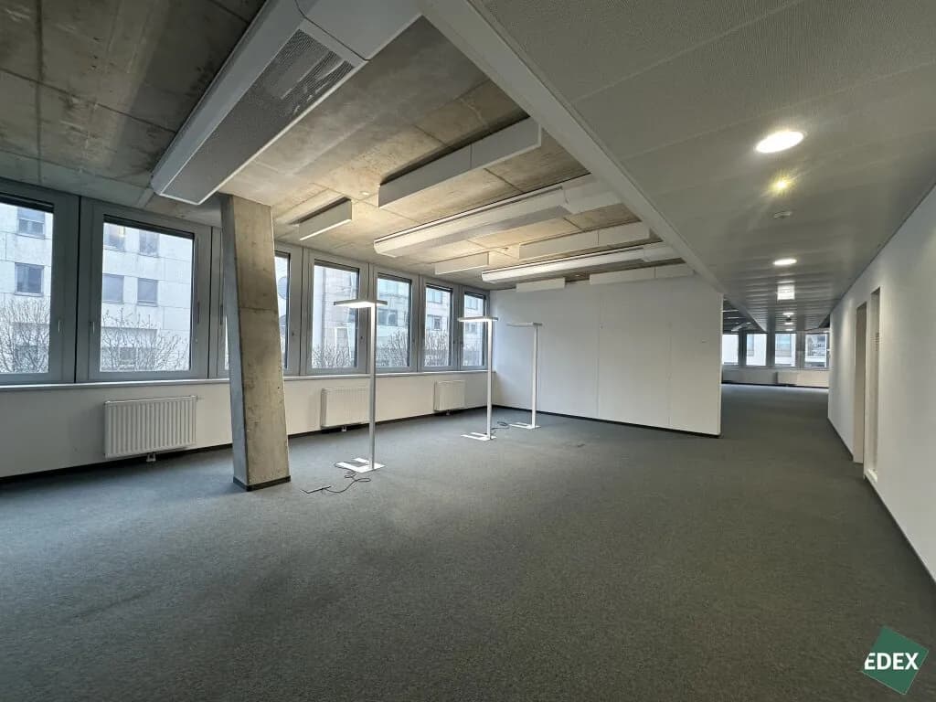 Gewerbeimmobilie mieten in Wien – 520 m², € 17 – Bild 3 von 16