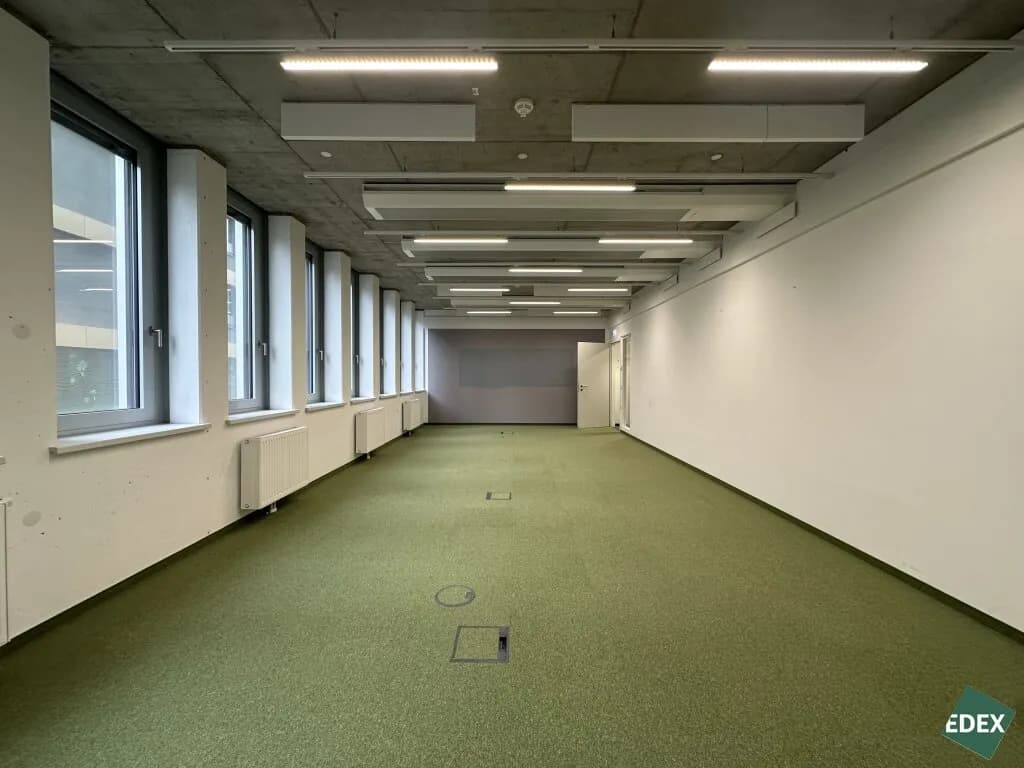 Gewerbeimmobilie mieten in Wien – 520 m², € 17 – Bild 5 von 16