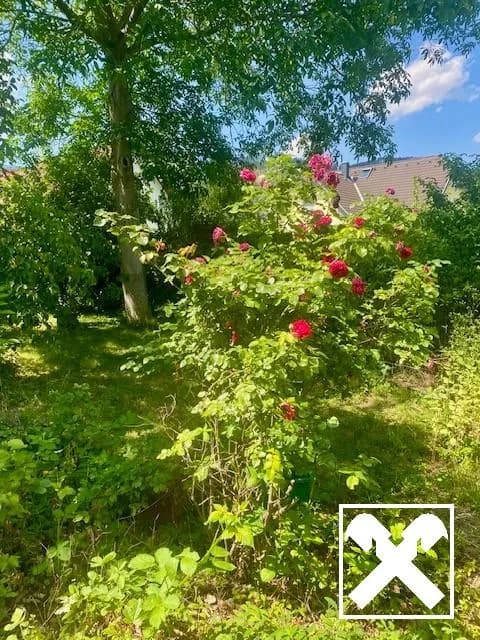 4-Zimmer-Haus kaufen in Neunkirchen – 102 m², € 350.000 – Bild 4 von 20