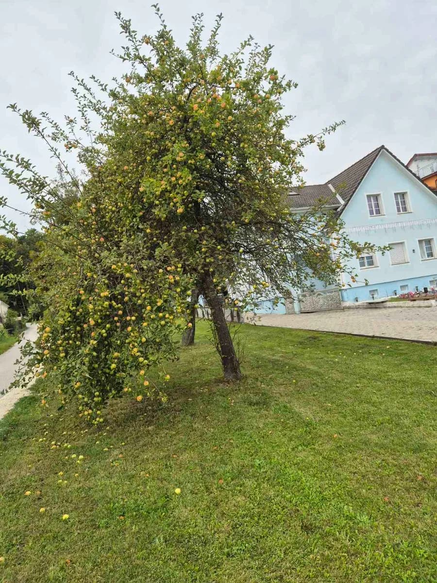 Grundstück kaufen in Hartberg-Fürstenfeld – 784 m², € 32.000 – Bild 6 von 8