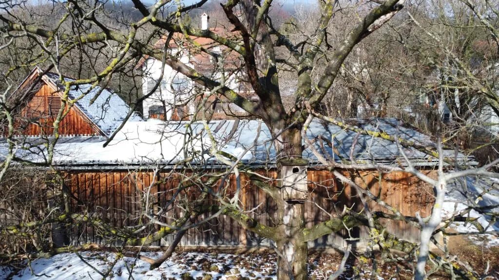 Grundstück kaufen in Wiener Neustadt Land – 1 285 m², € 439.000 – Bild 9 von 11