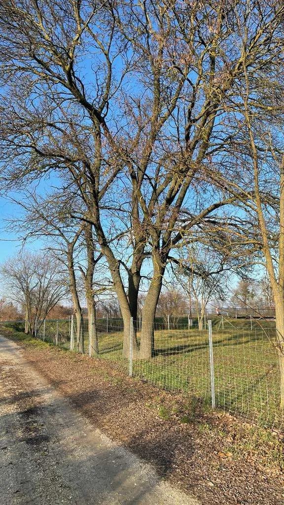 Wohnung kaufen in Österreich – 12 m², € 28.000 – Bild 22 von 40