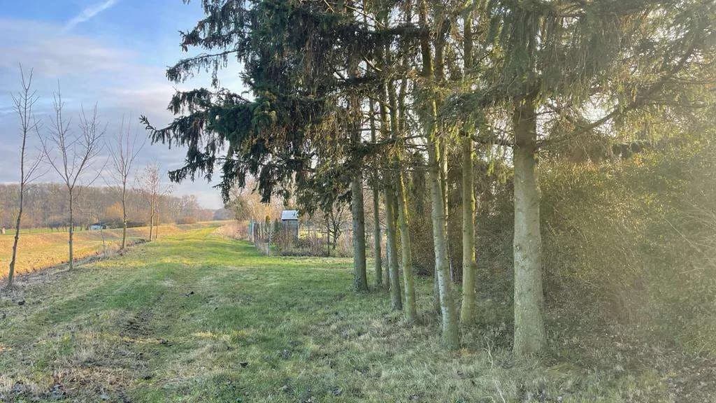 Wohnung kaufen in Österreich – 12 m², € 28.000 – Bild 32 von 40