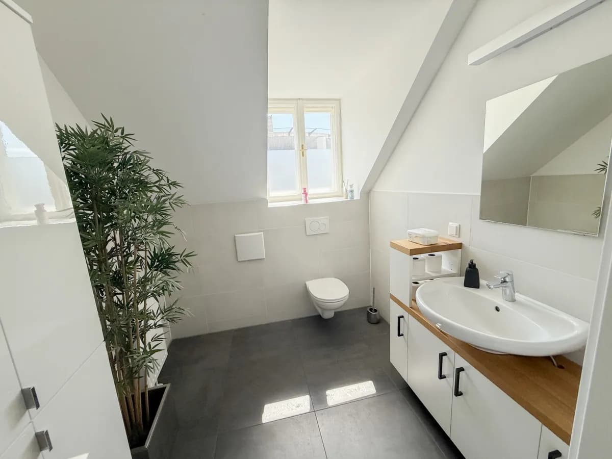 Gewerbeimmobilie kaufen in Wiener Neustadt – 679 m², € 2.750.000 – Bild 15 von 24