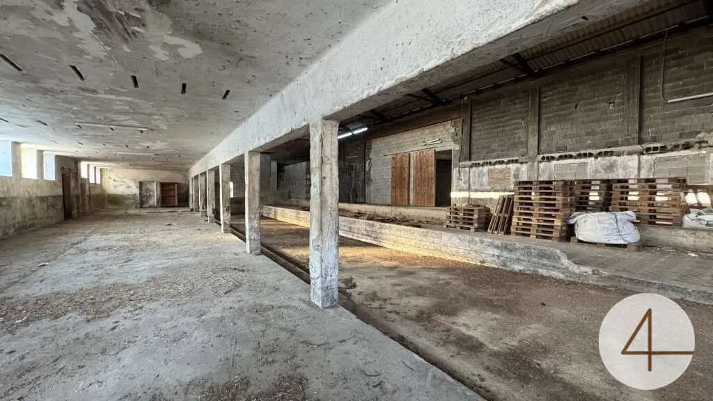Haus kaufen in Horn – 5 757 m², € 350.000 – Bild 5 von 9