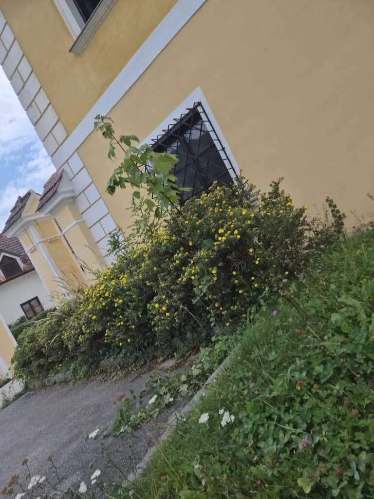 Gewerbeimmobilie kaufen in Krems an der Donau – 2 055 m², € 2.590.000 – Bild 3 von 13