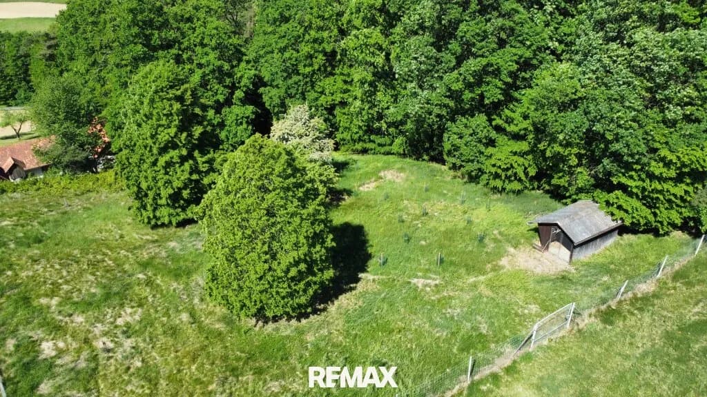 Immobilie kaufen in Südoststeiermark – 23 105 m², € 169.000 – Bild 6 von 19