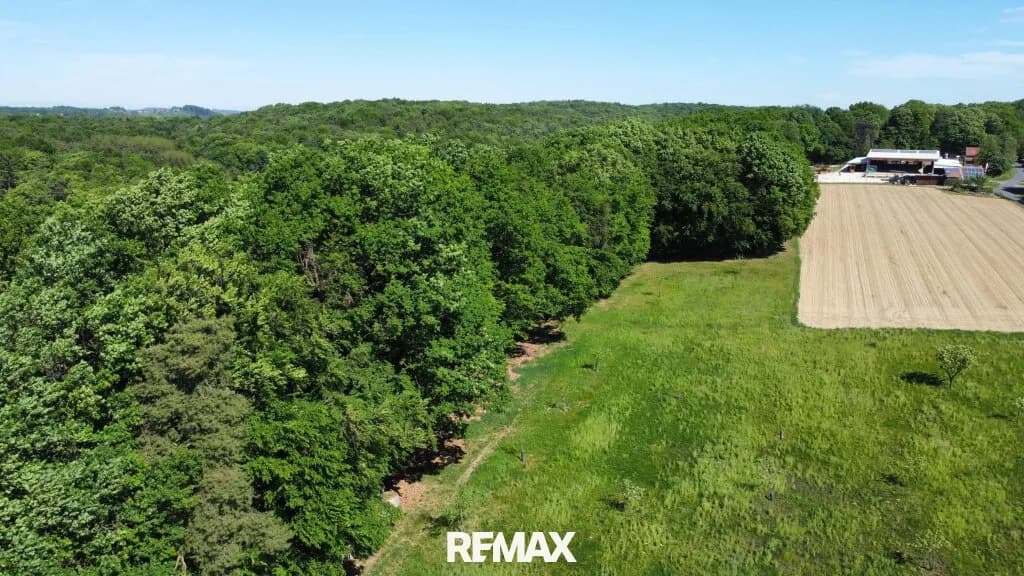 Immobilie kaufen in Südoststeiermark – 23 105 m², € 169.000 – Bild 11 von 19