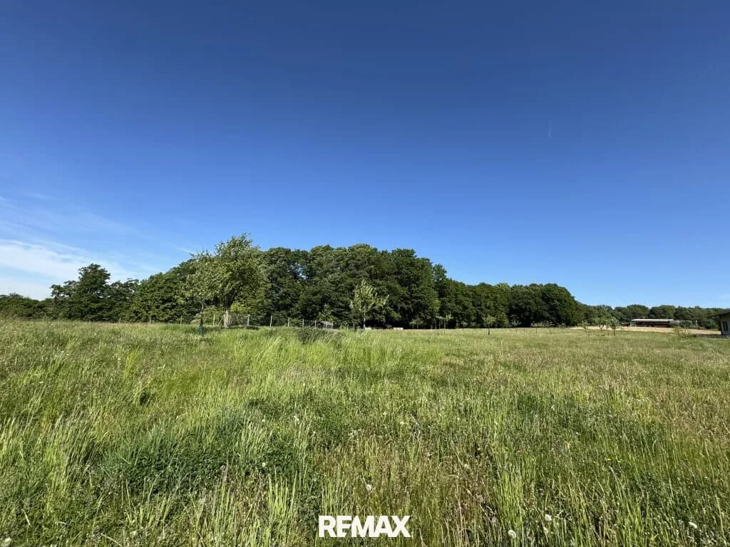 Immobilie kaufen in Südoststeiermark – 23 105 m², € 169.000 – Bild 17 von 19