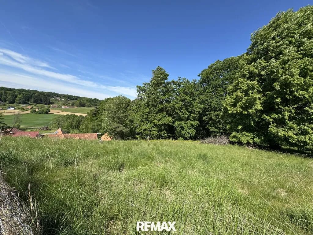 Immobilie kaufen in Südoststeiermark – 23 105 m², € 169.000 – Bild 19 von 19