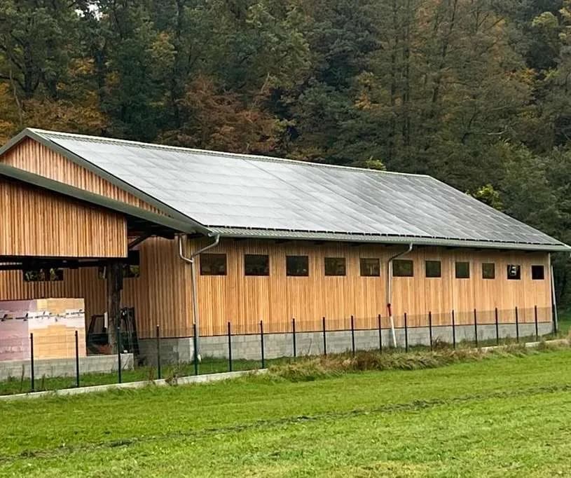Immobilie mieten in Freistadt – 21 m², € 98 – Bild 6 von 6
