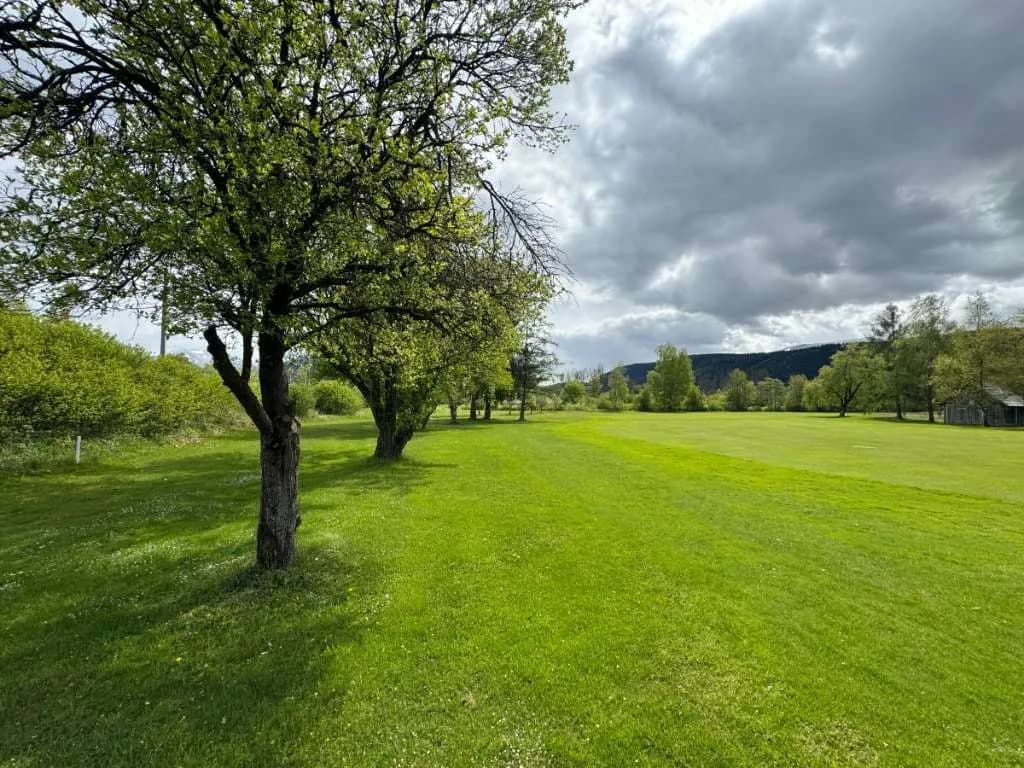 Grundstück kaufen in Liezen – 66 000 m², € 333.000