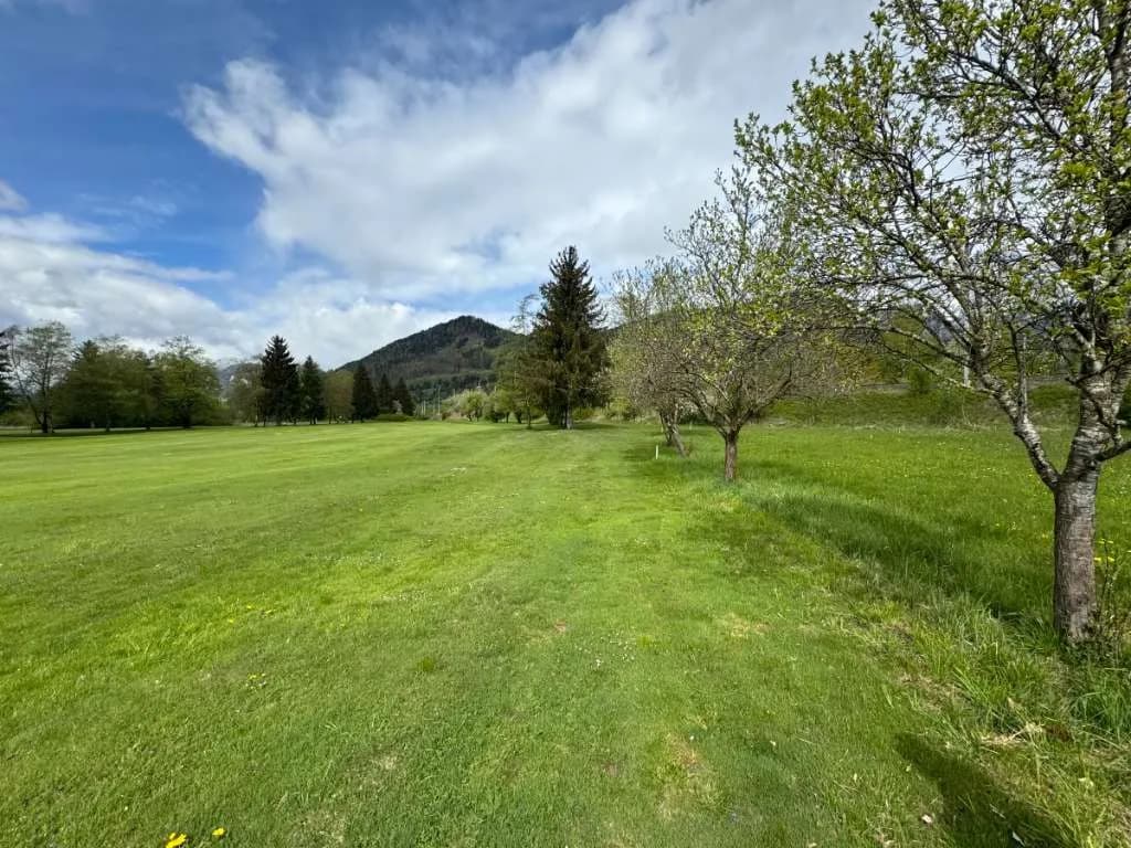 Grundstück kaufen in Liezen – 66 000 m², € 333.000 – Bild 3 von 11