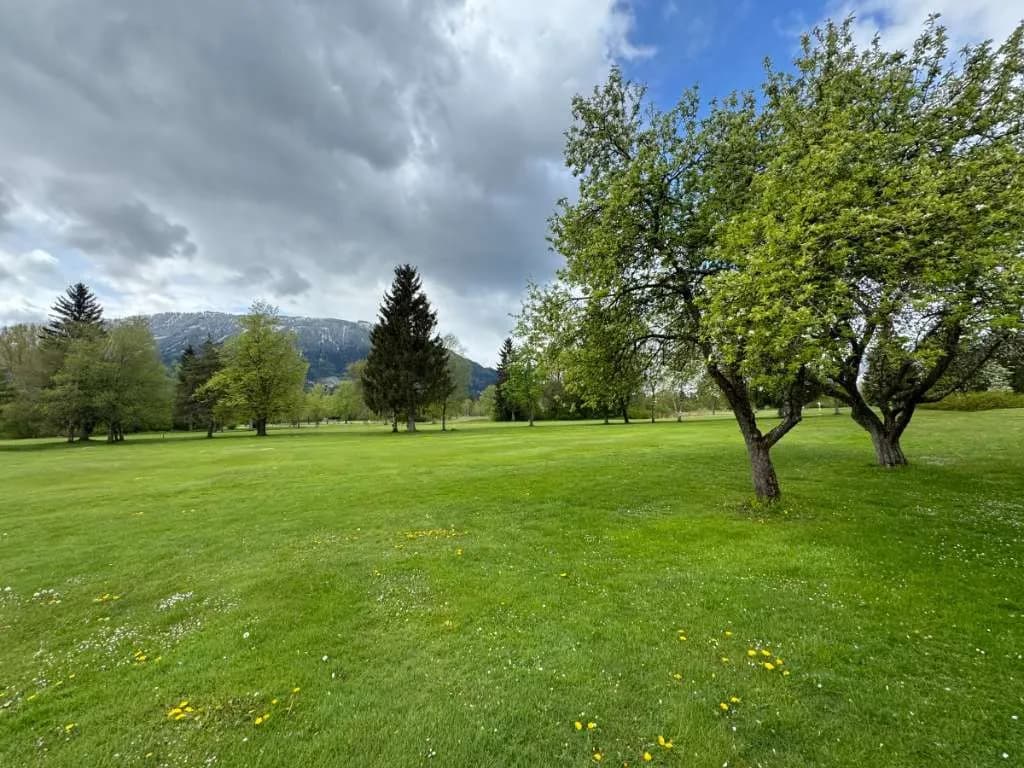 Grundstück kaufen in Liezen – 66 000 m², € 333.000 – Bild 4 von 11