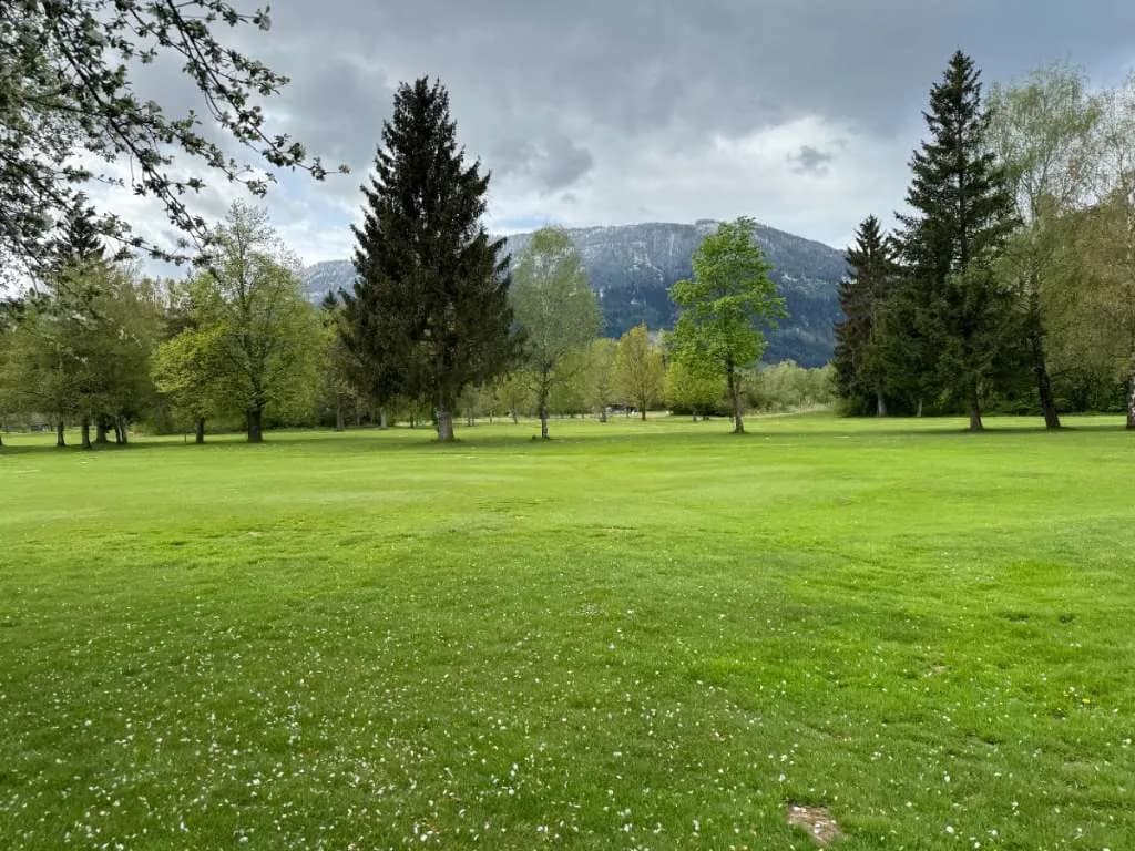 Grundstück kaufen in Liezen – 66 000 m², € 333.000 – Bild 6 von 11