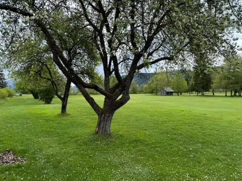 Grundstück kaufen in Liezen – 66 000 m², € 333.000 – Bild 9 von 11