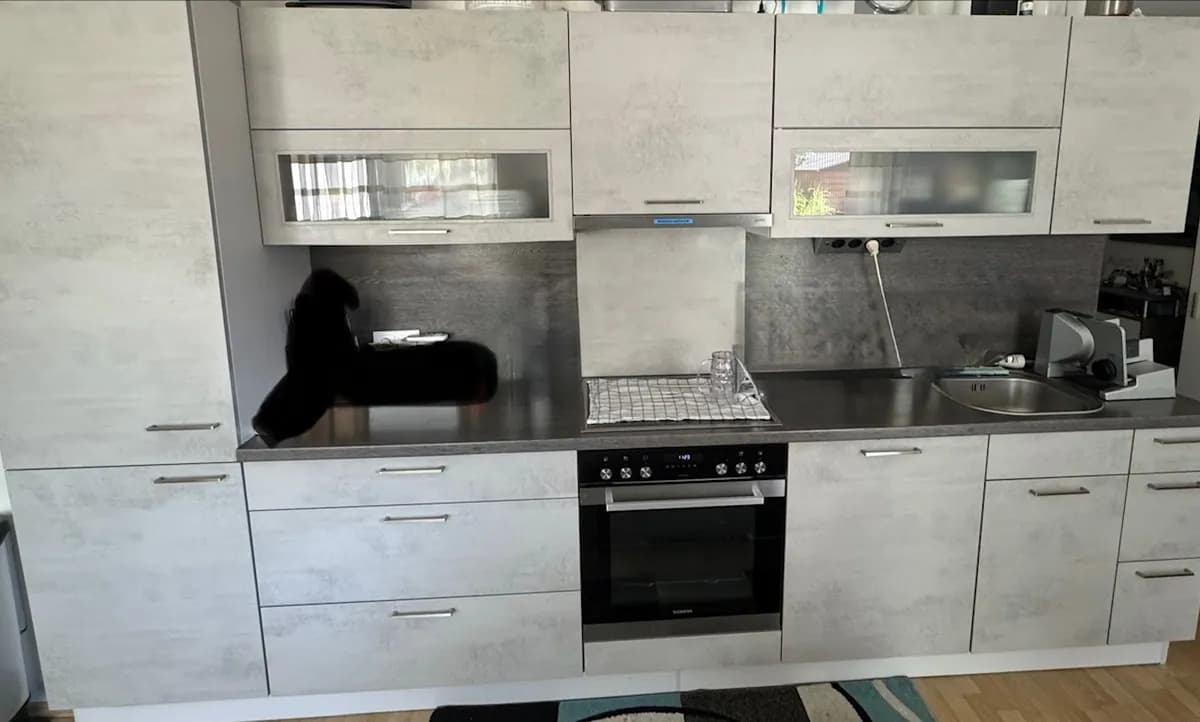 2-Zimmer-Wohnung mieten in Gänserndorf – 70 m², € 1.035 – Bild 4 von 7