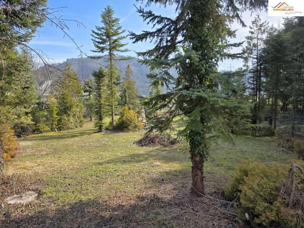 Grundstück kaufen in Neunkirchen – 2 219 m², € 179.000
