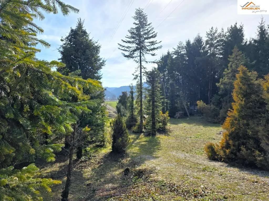 Grundstück kaufen in Neunkirchen – 2 219 m², € 179.000 – Bild 3 von 5