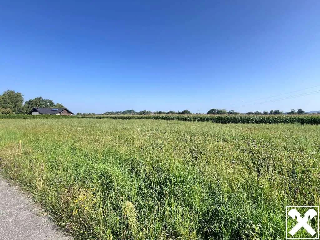 Grundstück kaufen in Schärding – 1 413 m², € 70.650 – Bild 3 von 4