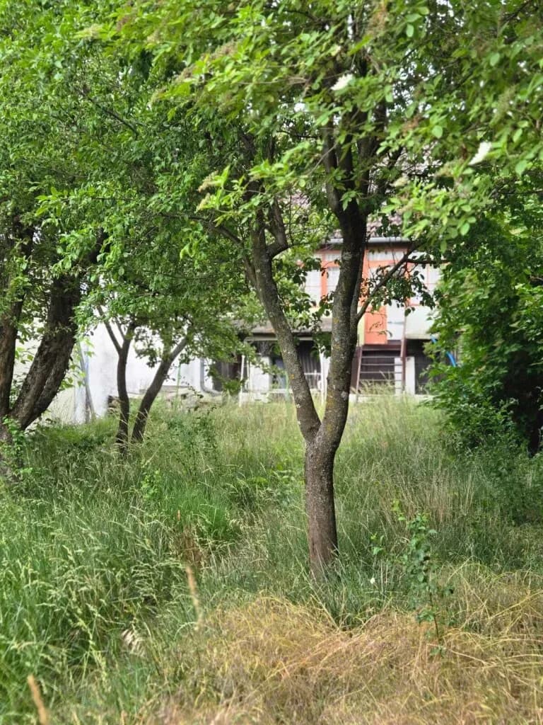 2-Zimmer-Haus kaufen in Mistelbach – 61 m², € 78.000 – Bild 15 von 17