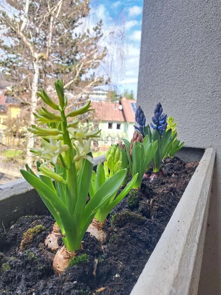 1-Zimmer-Wohnung kaufen in Graz – 40,36 m², € 134.000 – Bild 2 von 14