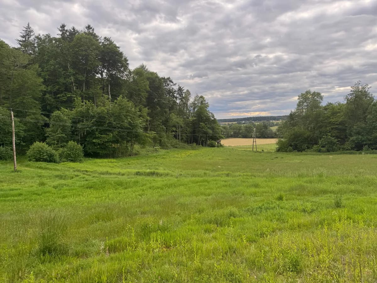 Grundstück kaufen in Südoststeiermark – 15 000 m², € 190.000