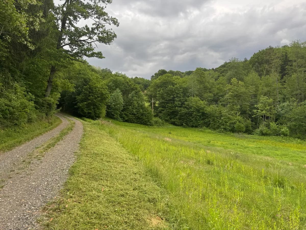 Grundstück kaufen in Südoststeiermark – 15 000 m², € 190.000 – Bild 2 von 8