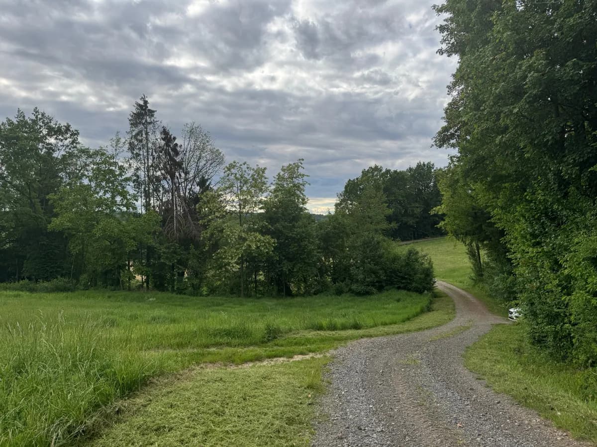 Grundstück kaufen in Südoststeiermark – 15 000 m², € 190.000 – Bild 4 von 8