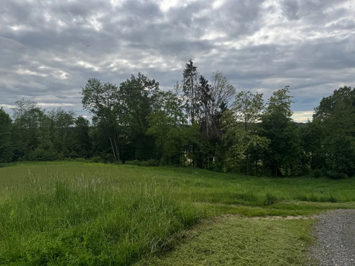 Grundstück kaufen in Südoststeiermark – 15 000 m², € 190.000 – Bild 5 von 8