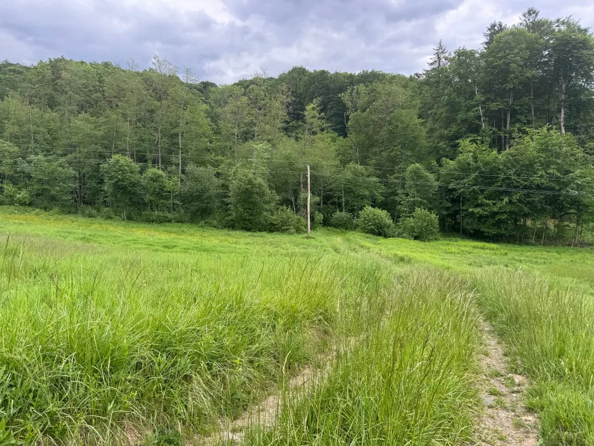 Grundstück kaufen in Südoststeiermark – 15 000 m², € 190.000 – Bild 6 von 8