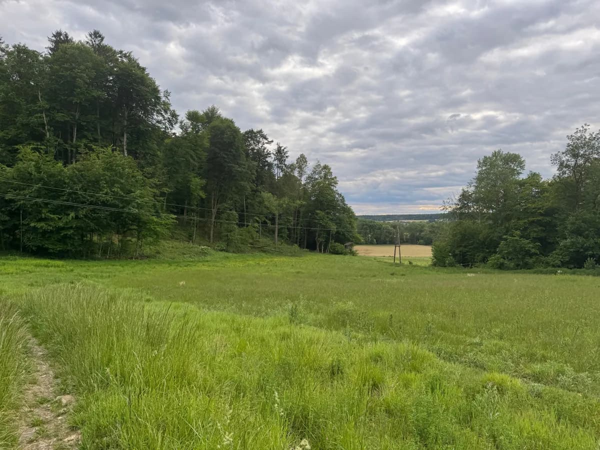 Grundstück kaufen in Südoststeiermark – 15 000 m², € 190.000 – Bild 7 von 8