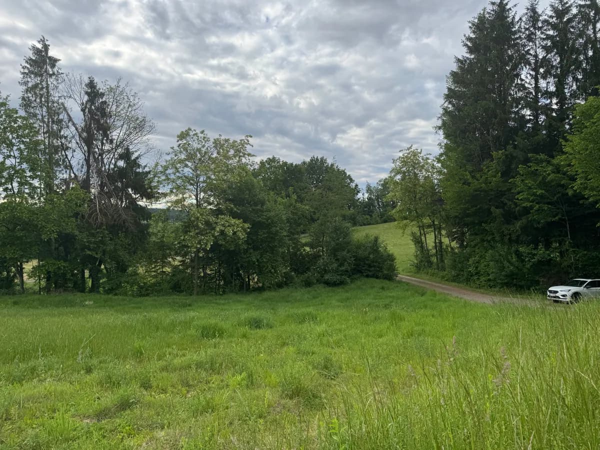 Grundstück kaufen in Südoststeiermark – 15 000 m², € 190.000 – Bild 8 von 8
