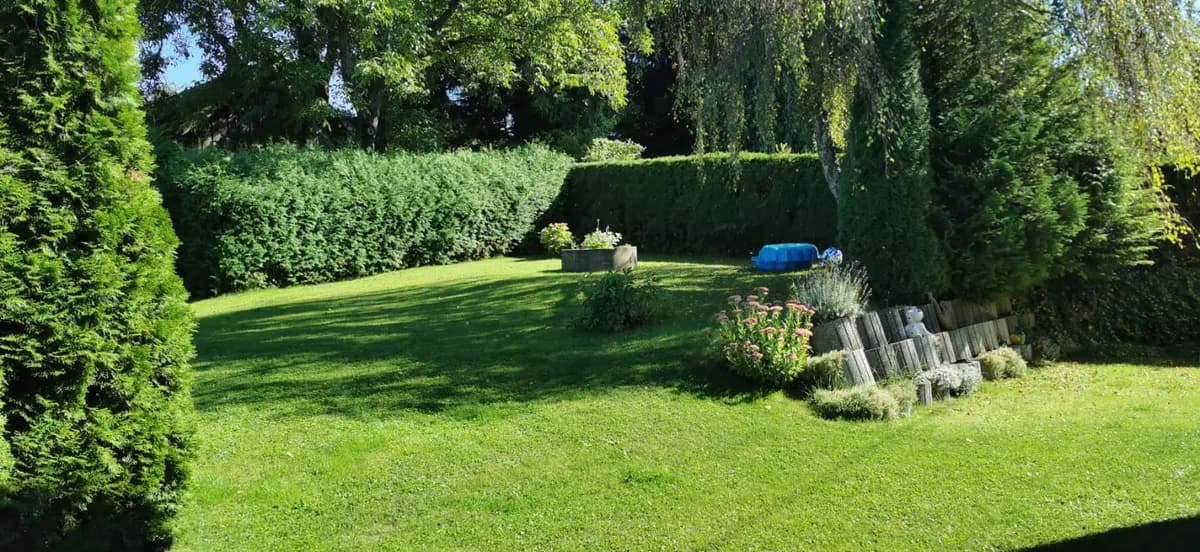 2-Zimmer-Wohnung mieten in Grieskirchen – 50 m², € 650
