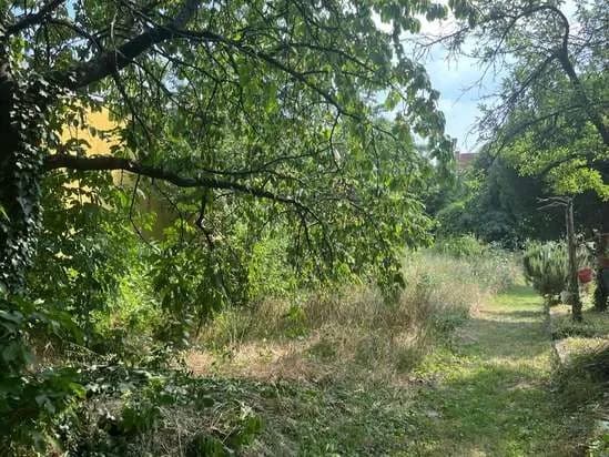 Grundstück kaufen in Neusiedl am See – 765 m², € 600.000 – Bild 4 von 7