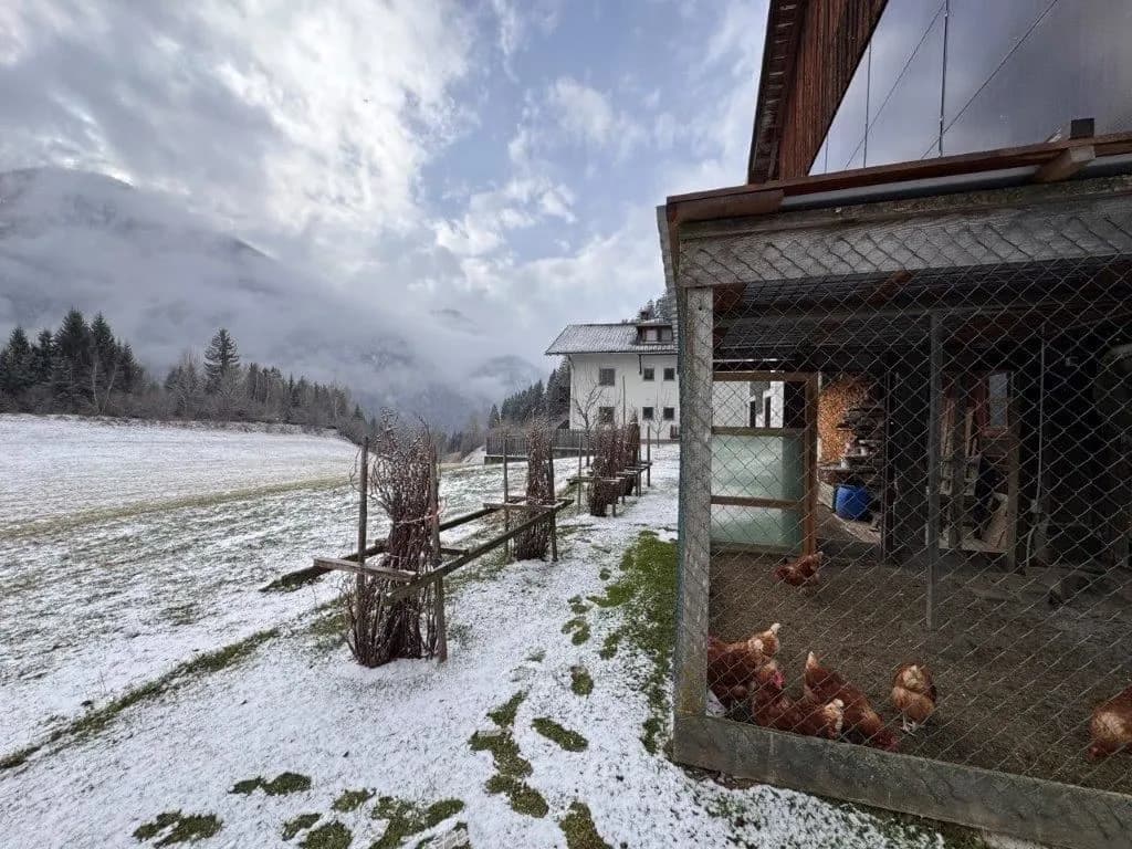 Grundstück kaufen in Lienz – 257 m², € 779.000 – Bild 9 von 30
